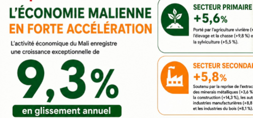 Croissance économique : Le Mali enregistre une progression de 9,3 % au premier trimestre 2026